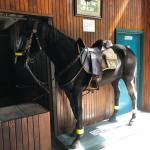 2019_OTRA_0604 (September 01, 2019)